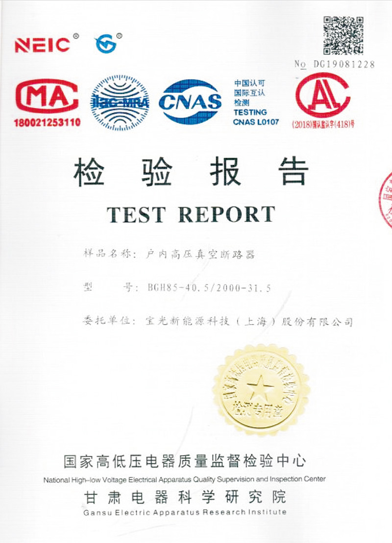 檢驗(yàn)報告